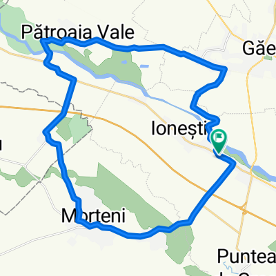Ionesti 1