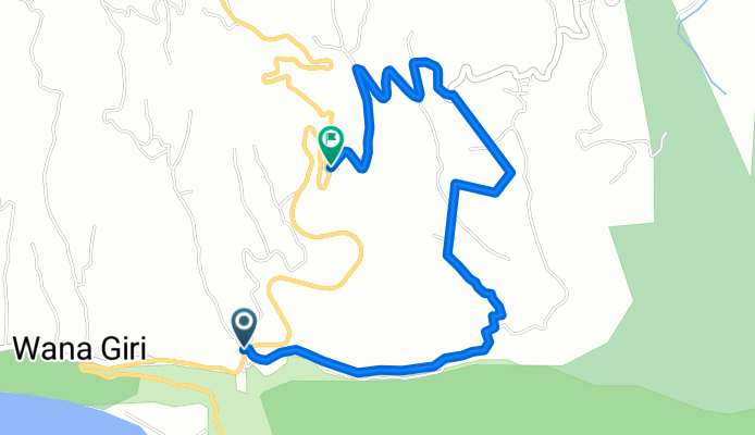 Hexon Hill Lemukih DH/FR