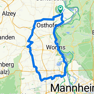 Rheinhessen+Vorderpfalz 81 km