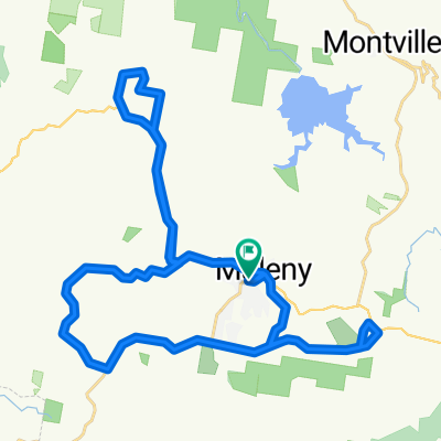 TT MALENY WITTA REESVILLE MALENY