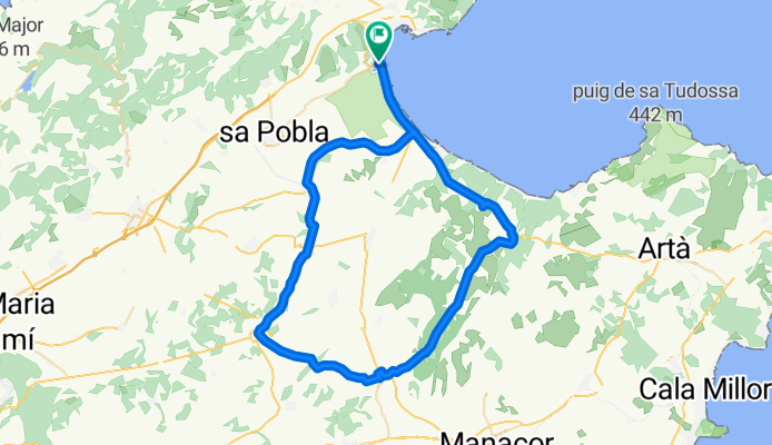 Port Alcudia- Can Picafort - Sineu - Petra - Port Alcudia