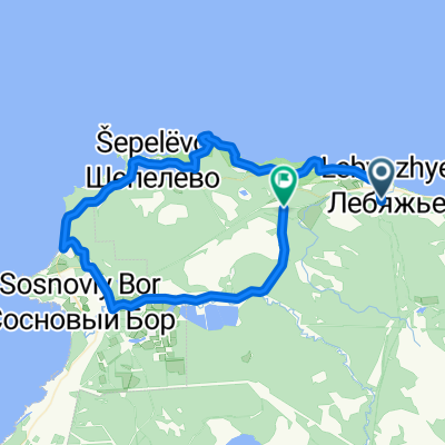 Лебяжье