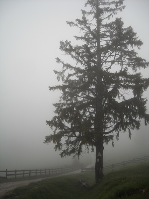 Atrakcja 2 na trasie Bikemap „Predeal”