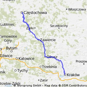 czuwanie  czestochowa 2013