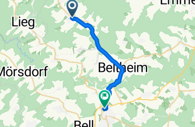 Route in der Bikemap App öffnen