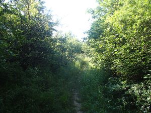 Highlight 1 along the Bikemap route "Fekete-kő, Zsiványszikla, "Ősi" út - 35km, túraútvonal, pilis"