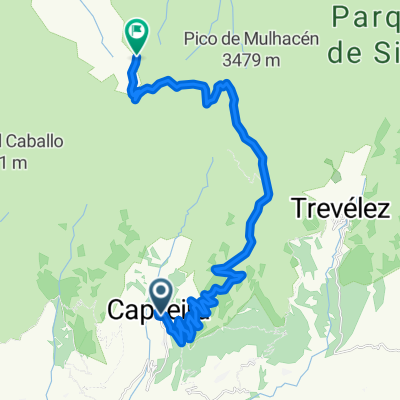 CAPILEIRA-VELETA