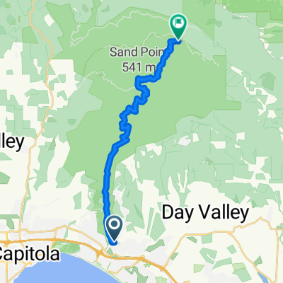 Nisene Marks fire road