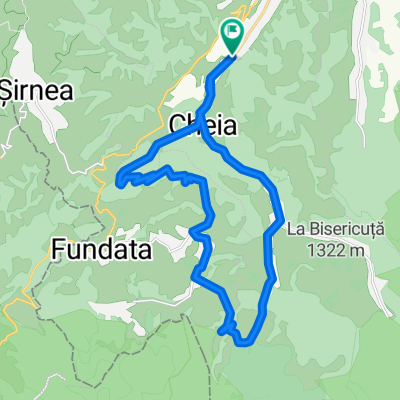 Cheile Gradistei 21.07.2013
