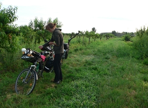 Destacado 1 en la ruta de Bikemap "MORAVA-6.den-20.7.13"