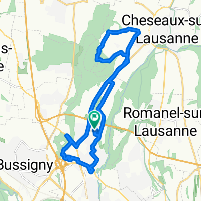 Crissier Et Environs