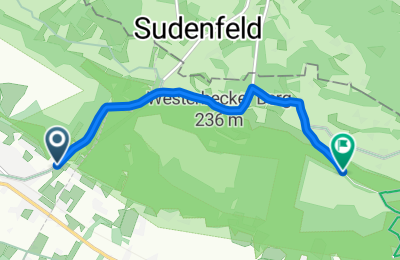 Route in der Bikemap App öffnen