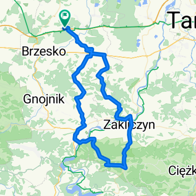 dzierzaniny 4.08.13
