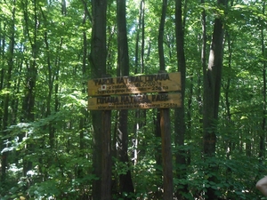 Highlight 4 along the Bikemap route "Bucuresti - Comana"