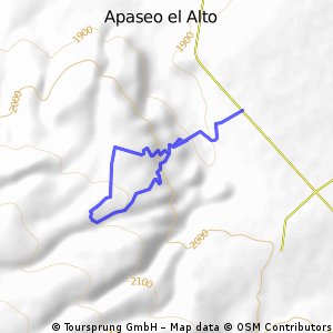 TALOYOTE, APASEO EL ALTO