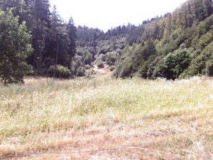 Hebe Bild 1 entlang der Bikemap-Route "Nedelná jazda" hervor