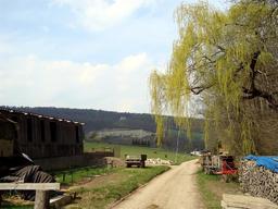 Hebe Bild 8 entlang der Bikemap-Route "20.04.10 Weimar-Köttendorf-Oettern-Kötsch-Volleroda-Weimar [Bilder]" hervor