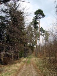 Hebe Bild 6 entlang der Bikemap-Route "20.04.10 Weimar-Köttendorf-Oettern-Kötsch-Volleroda-Weimar [Bilder]" hervor