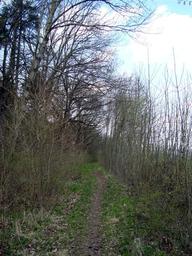 Hebe Bild 14 entlang der Bikemap-Route "20.04.10 Weimar-Köttendorf-Oettern-Kötsch-Volleroda-Weimar [Bilder]" hervor