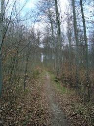 Hebe Bild 5 entlang der Bikemap-Route "20.04.10 Weimar-Köttendorf-Oettern-Kötsch-Volleroda-Weimar [Bilder]" hervor