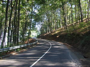 Highlight 12 along the Bikemap route "Zabar- (Cered-R贸nafalu-Salg贸tarj谩n)" Highlight 12 along the Bikemap route "Zabar- (Cered-R贸nafalu-Salg贸tarj谩n)"