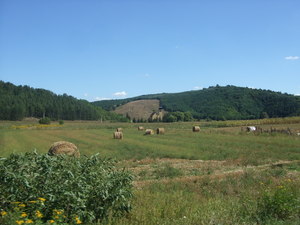 Highlight 8 along the Bikemap route "Zabar- (Cered-R贸nafalu-Salg贸tarj谩n)" Highlight 8 along the Bikemap route "Zabar- (Cered-R贸nafalu-Salg贸tarj谩n)"