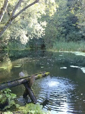 Highlight 4 along the Bikemap route "Bergbaurunde - Proleb-Seegraben"