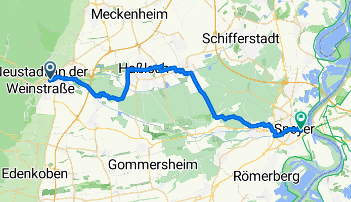 MS5-Speyer