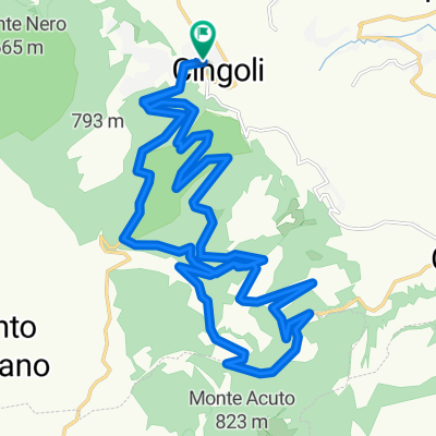cingoli 4