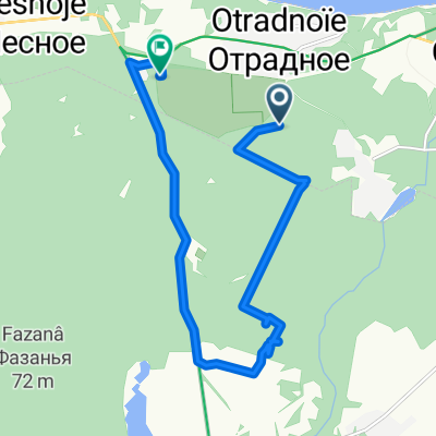 Лесная поездка 
