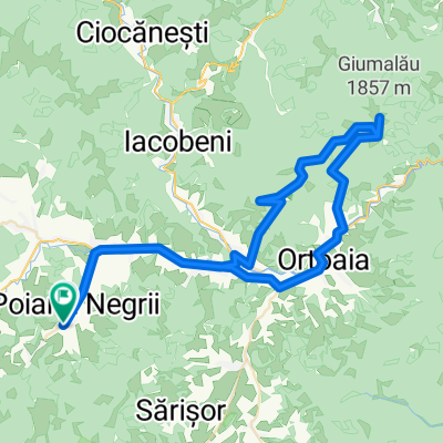 poiana negrii- vf giumalau-cab gigi ursu-poiana negrii(propunere)