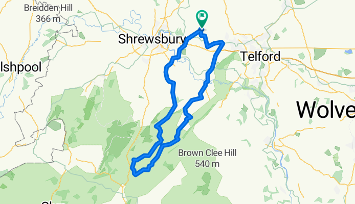 Shropshire Lad 2013