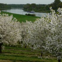 Die Sonntags Runde solange es geht.