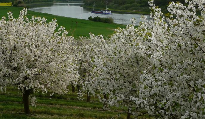 Photo 1 of the Bikemap route "Die Sonntags Runde solange es geht." Photo 1 of the Bikemap route "Die Sonntags Runde solange es geht."