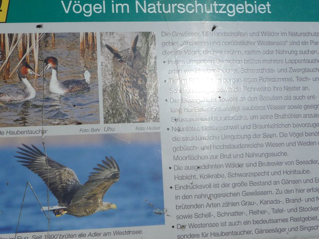 Westensee zum Fischmeister