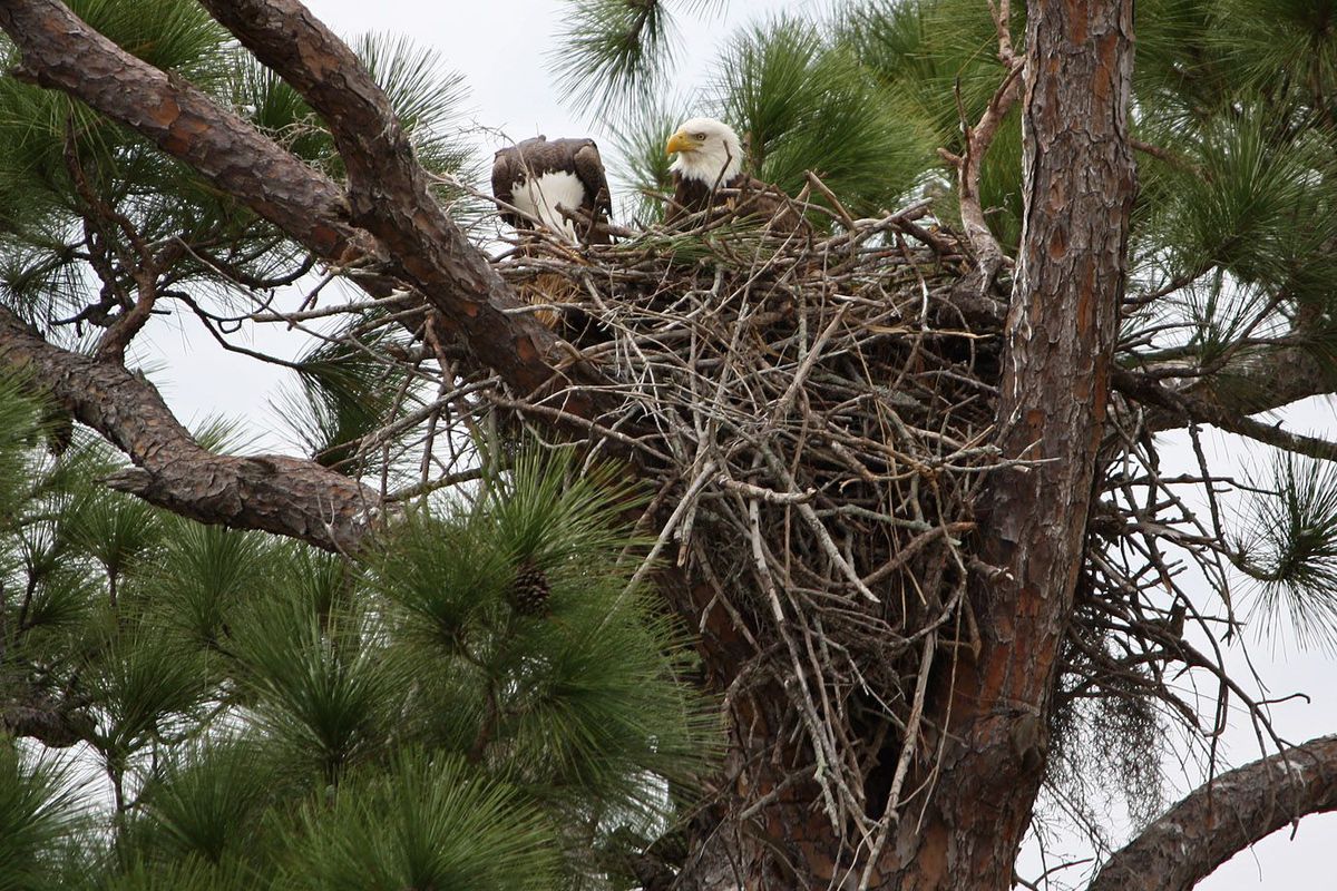 Westensee zum Fischmeister