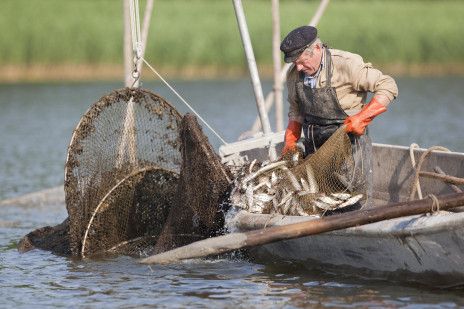 Stift-Windebyer Noor-Stift