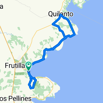 CARRERA FRUTILLAR 