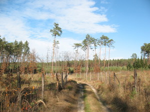 Highlight 16 along the Bikemap route "2013/9  Czarna Sędziszowska - Sadykierz - Blizna - Leszcze - Cierpisz"