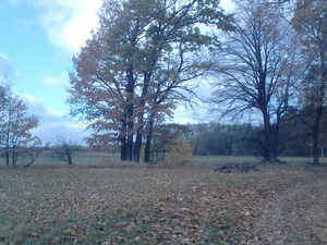 Highlight 1 along the Bikemap route "2013/9  Czarna Sędziszowska - Sadykierz - Blizna - Leszcze - Cierpisz"