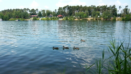 Highlight 7 along the Bikemap route "Okruh přes Kladruby,Mělice a Strašov" Highlight 7 along the Bikemap route "Okruh přes Kladruby,Mělice a Strašov"