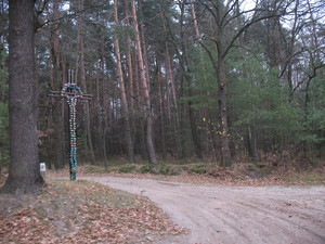 Highlight 39 along the Bikemap route "2013/10  Głogów MŁp. - Turza N.  - Nienadówka "