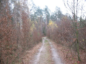 Highlight 36 along the Bikemap route "2013/10  Głogów MŁp. - Turza N.  - Nienadówka "