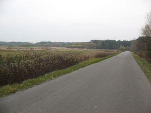 Highlight 19 along the Bikemap route "2013/10  Głogów MŁp. - Turza N.  - Nienadówka "