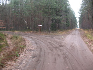 Highlight 14 along the Bikemap route "2013/10  Głogów MŁp. - Turza N.  - Nienadówka "