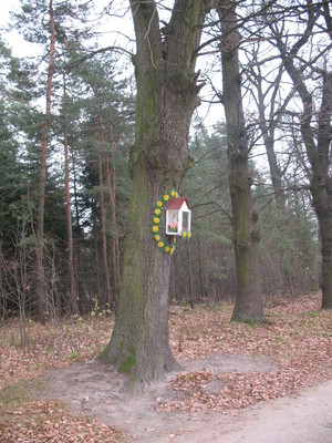 Highlight 38 along the Bikemap route "2013/10  Głogów MŁp. - Turza N.  - Nienadówka "