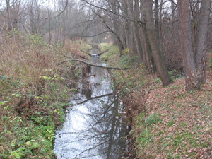 Highlight 33 along the Bikemap route "2013/10  Głogów MŁp. - Turza N.  - Nienadówka "