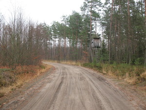 Highlight 22 along the Bikemap route "2013/10  Głogów MŁp. - Turza N.  - Nienadówka "