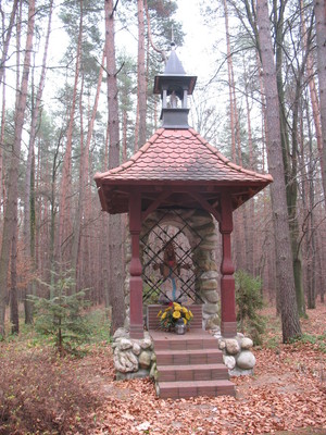 Highlight 9 along the Bikemap route "2013/10  Głogów MŁp. - Turza N.  - Nienadówka "