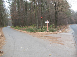 Highlight 8 along the Bikemap route "2013/10  Głogów MŁp. - Turza N.  - Nienadówka "